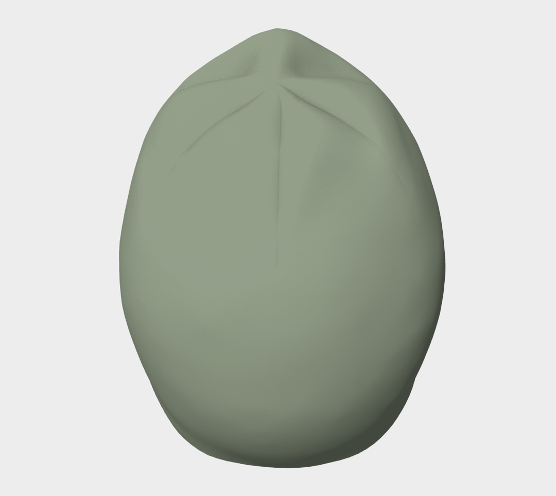 Tuque taupe